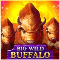 Big Wild Buffalo slot logo by Belatra Games at Night Luck CasinoBig Wild Buffalo