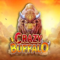 Crazy Buffalo Logo